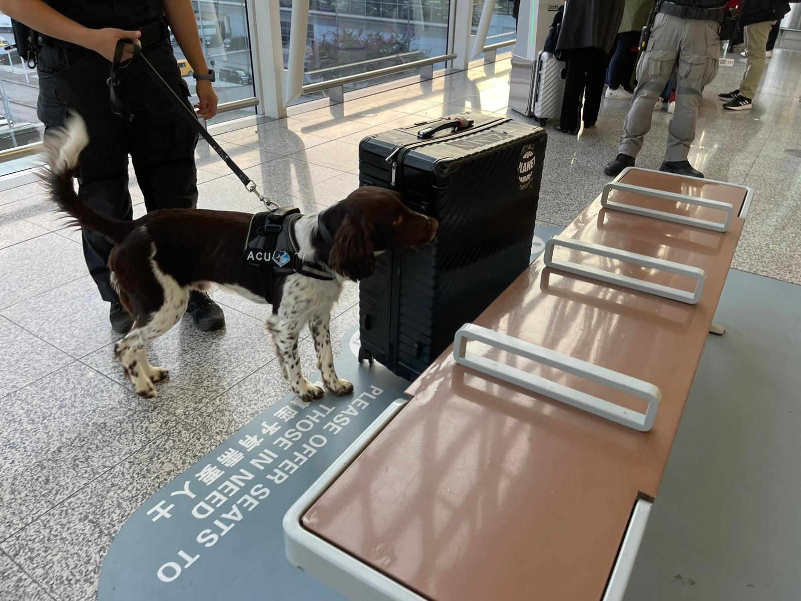 Sniffer Detection Duty Performed at Terminal